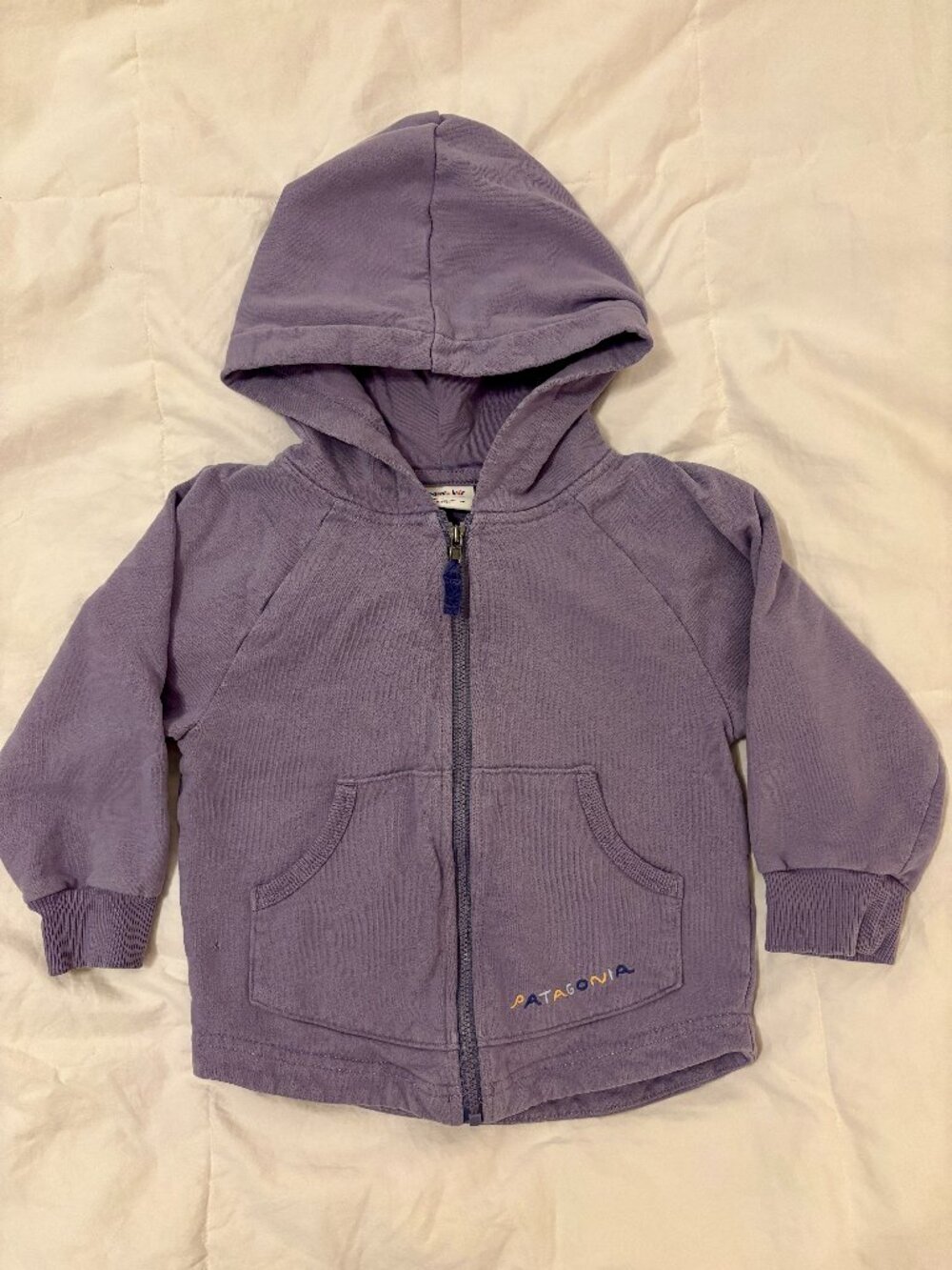 Patagonia Kids Full-Zip Hoody Sweatshirt - Lavender